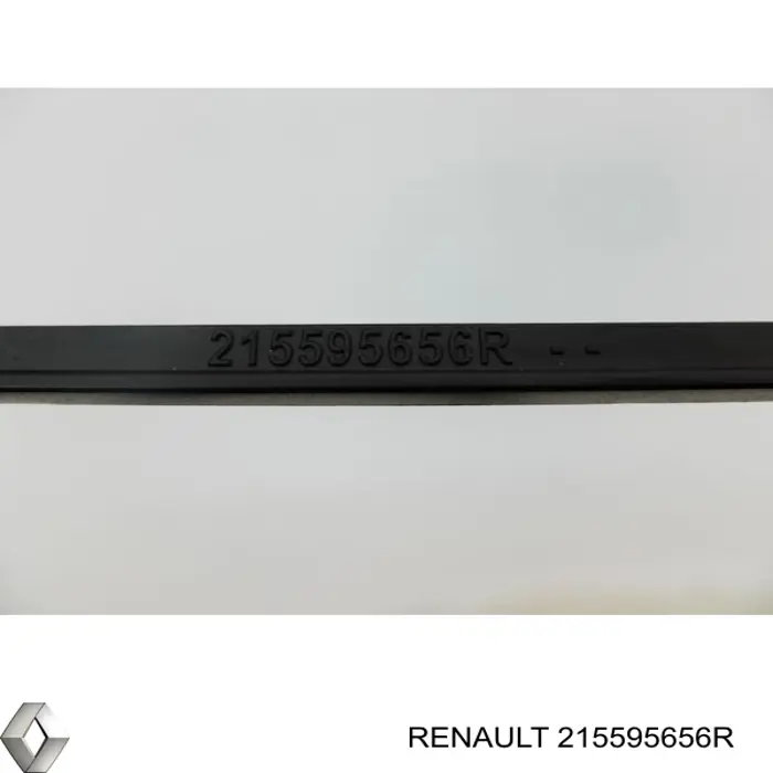 Купити 215595656R Renault (RVI) 