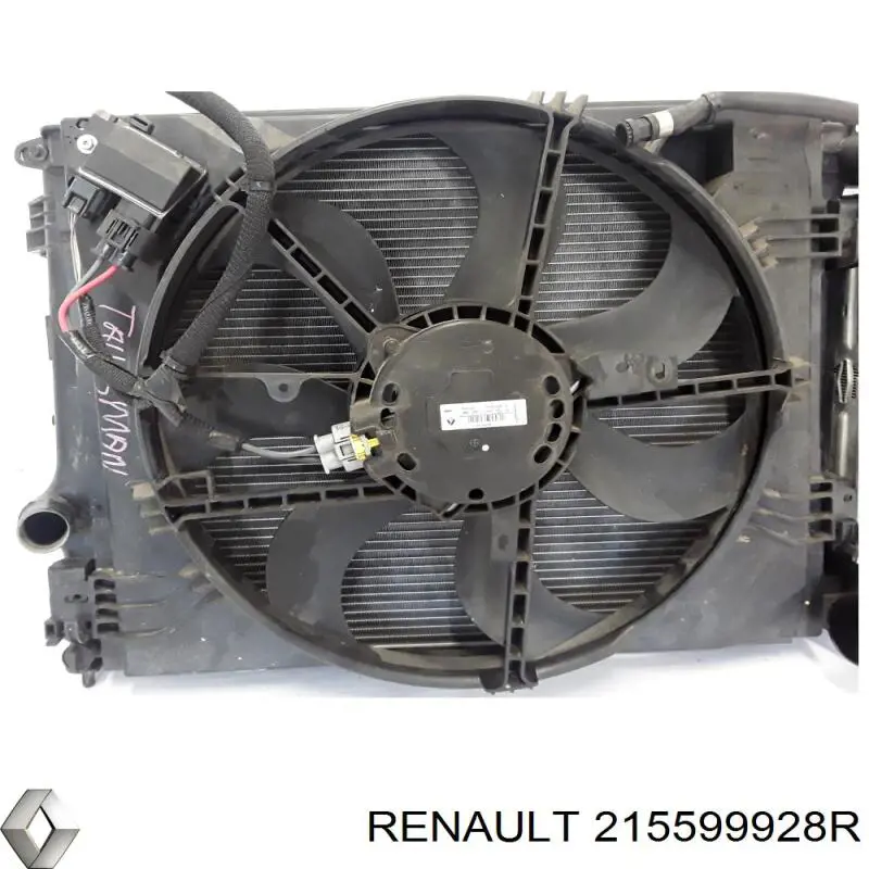  215599928R Renault (RVI)