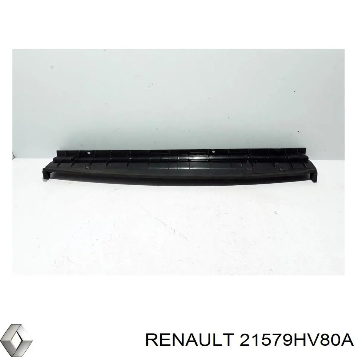 21579HV80A Renault (RVI) 