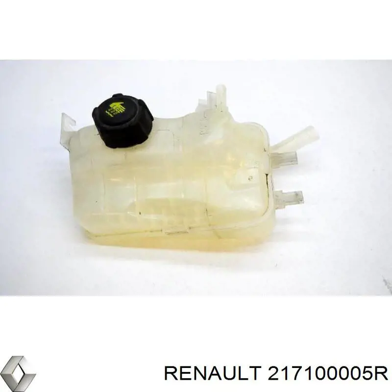 Купити 217100005R Renault (RVI) Водяний бачок системи охолодження