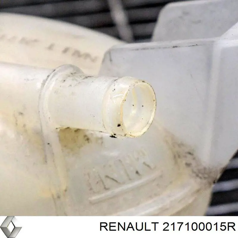 Бачок системи охолодження двигуна розширювальний Renault (RVI) 217100015R ціна, від 12.67 USD