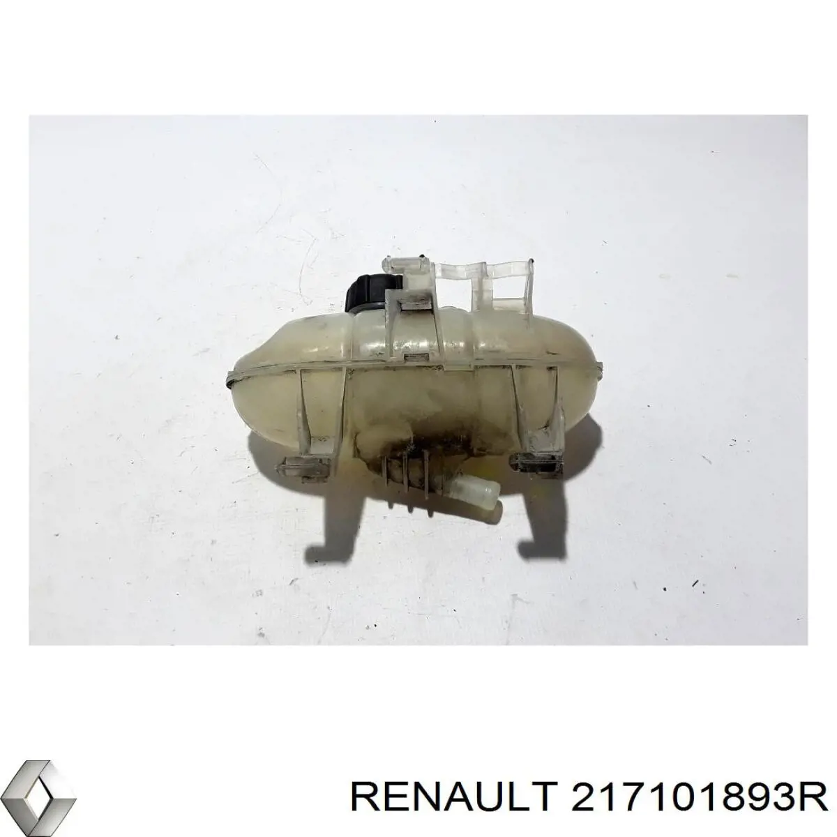  217101893R Renault (RVI)