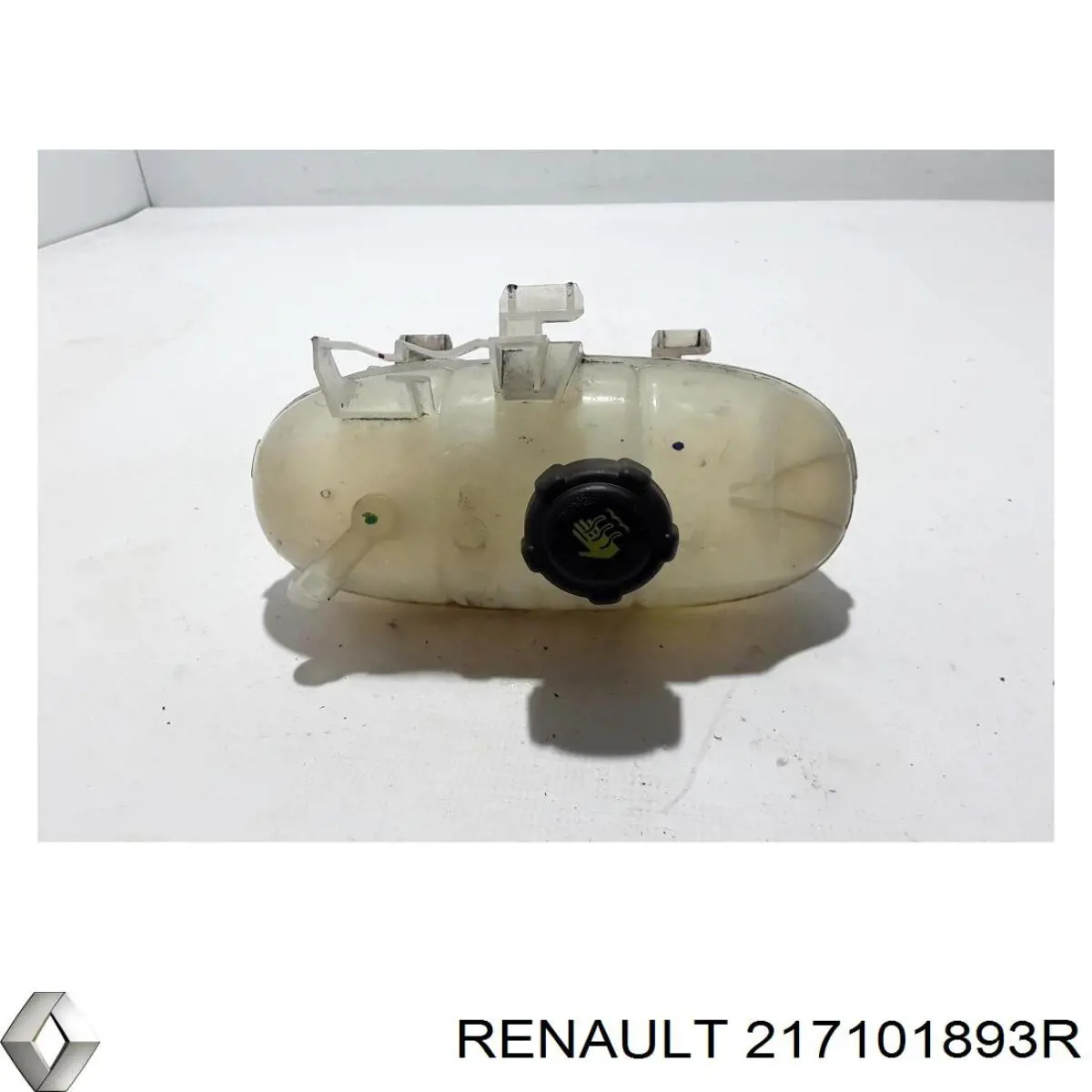217101893R Renault (RVI) 