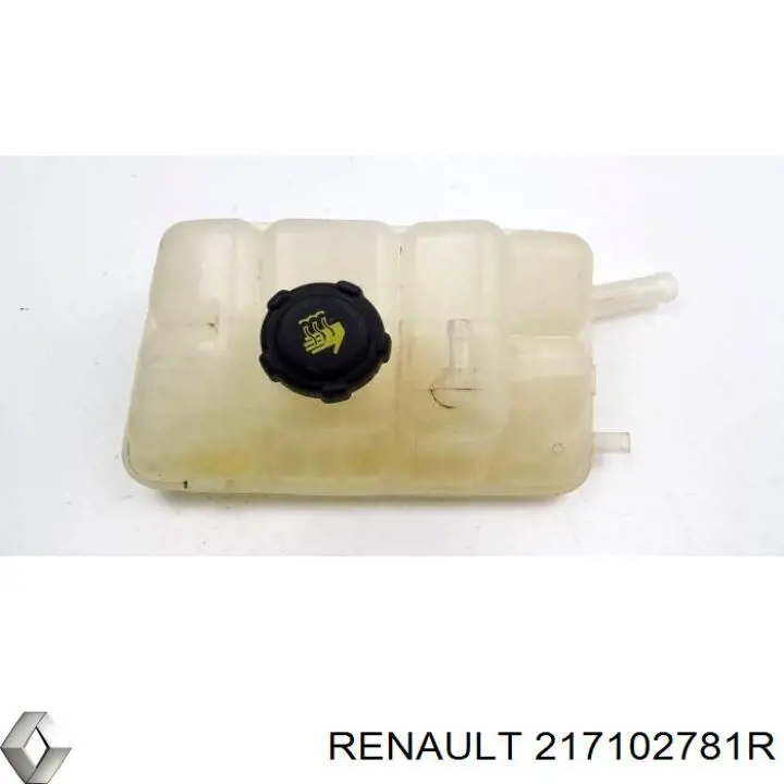 217102781R Renault (RVI) Розширювальний бачок охолодження