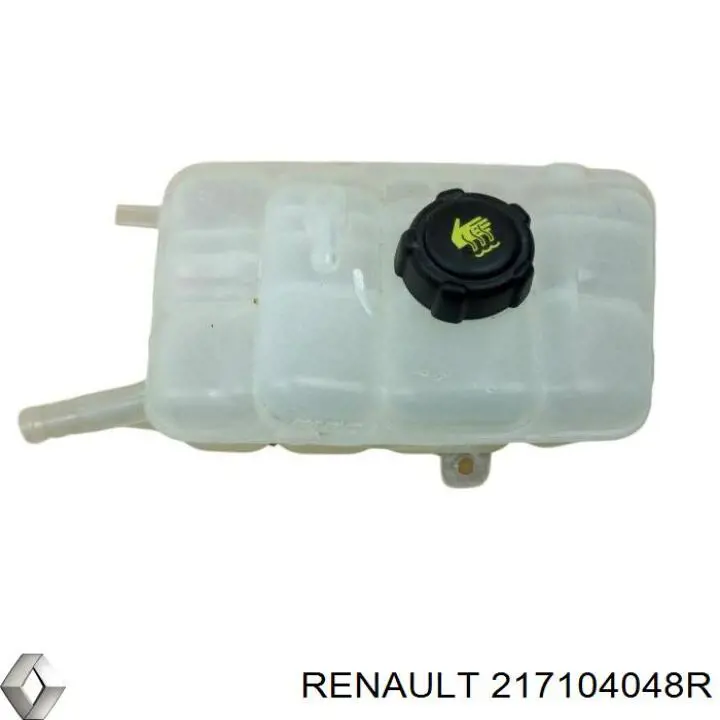 Купити 217104048R Renault (RVI) 
