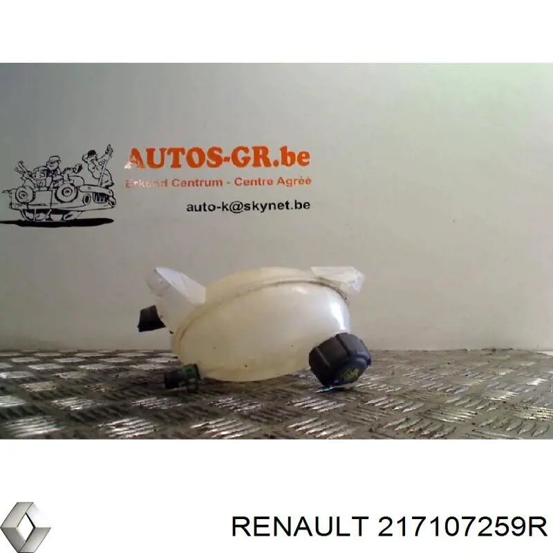 217107259R Renault (RVI) бачок системи охолодження, розширювальний