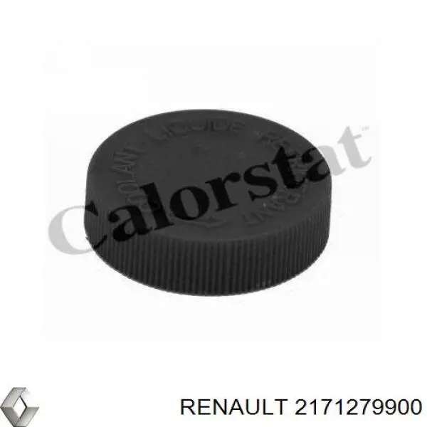 2171279900 Renault (RVI) кришка/пробка розширювального бачка
