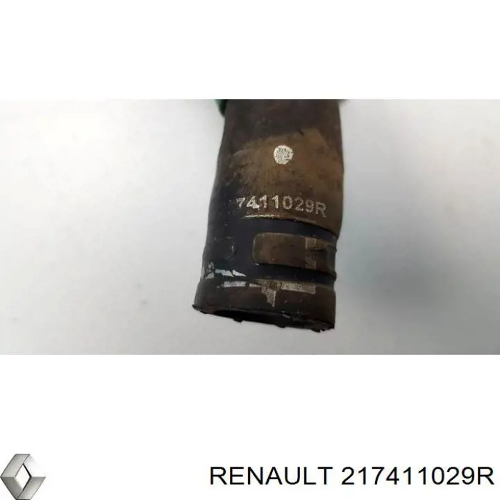 217411029R Renault (RVI) 