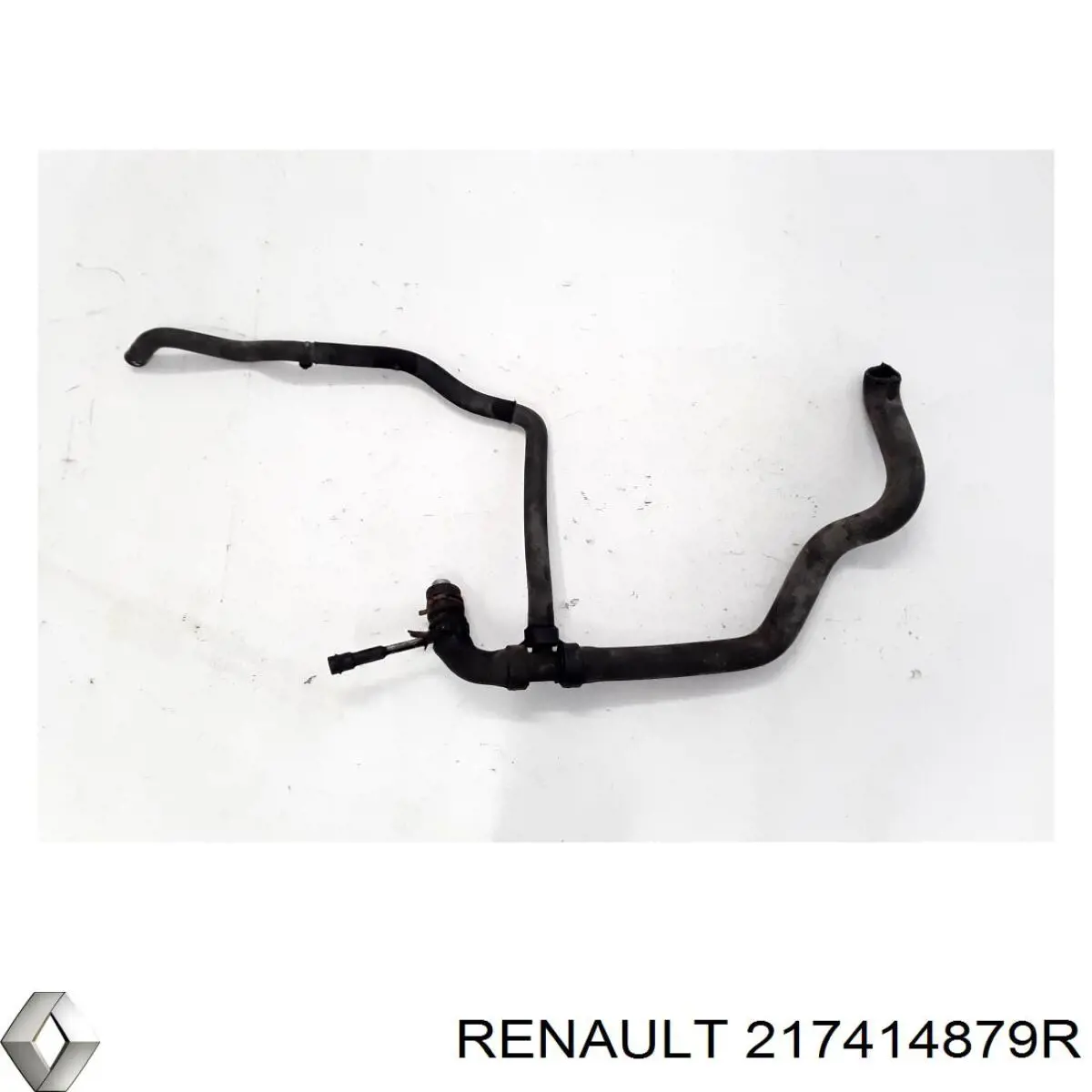  217414879R Renault (RVI)