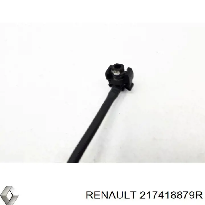  217418879R Renault (RVI)