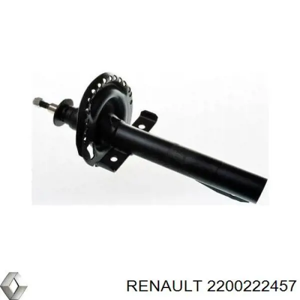 Амортизатор передній 2200222457 Renault (RVI)