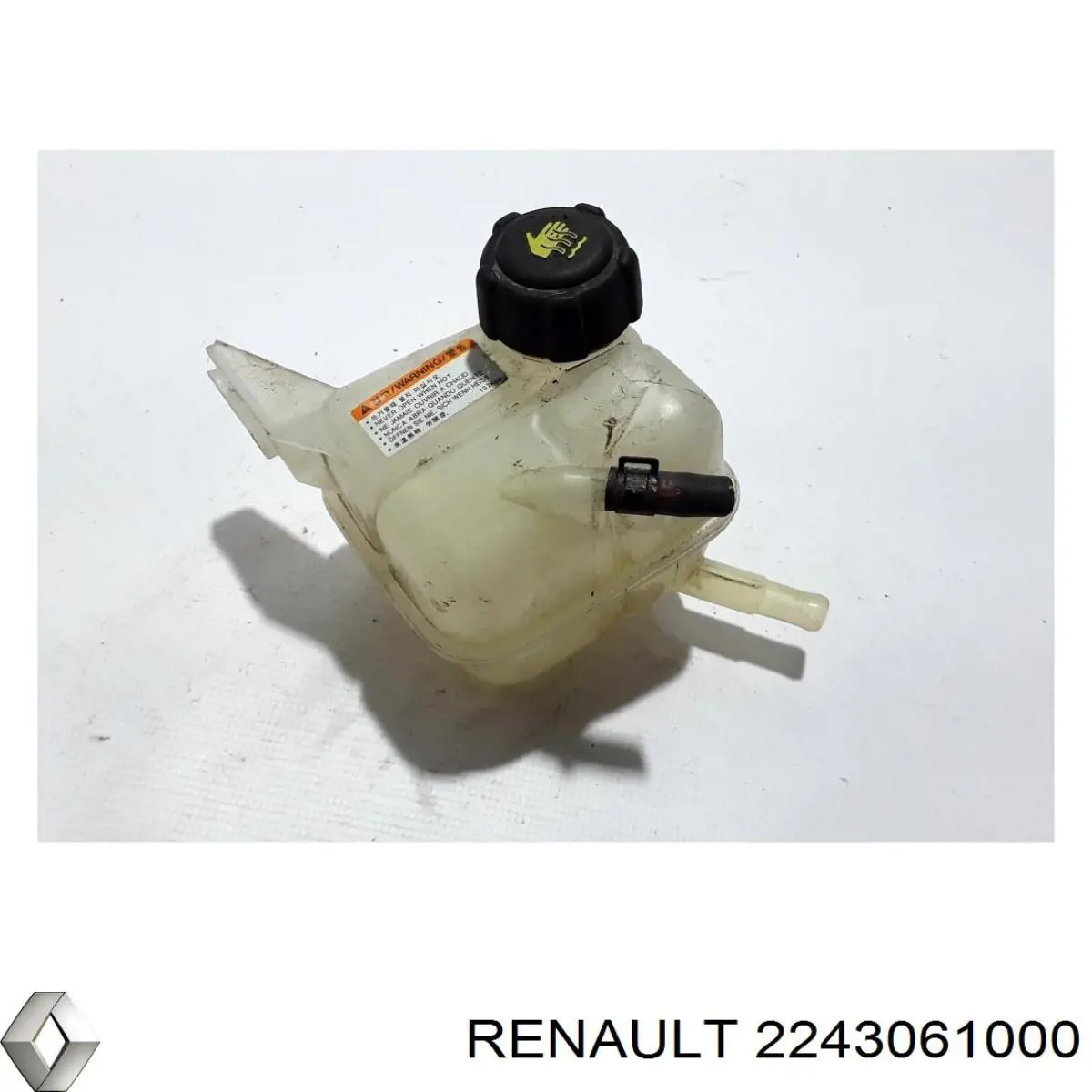  2243061000 Renault (RVI)