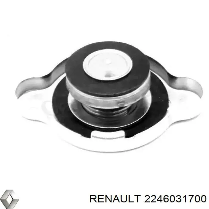 2246031700 Renault (RVI) кришка/пробка радіатора