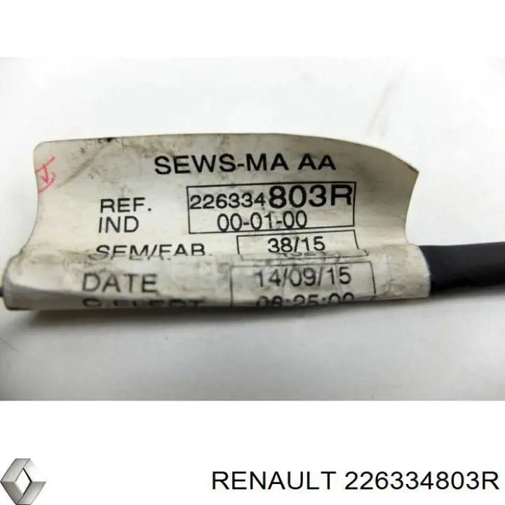 226334803R Renault (RVI) 