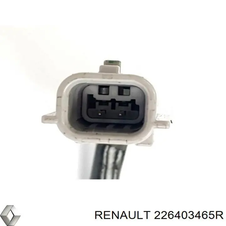  226403465R Renault (RVI)