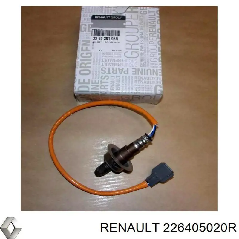 226405020R Renault (RVI) 