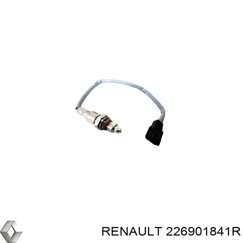 Лямбда-зонд 226901841R Renault (RVI)