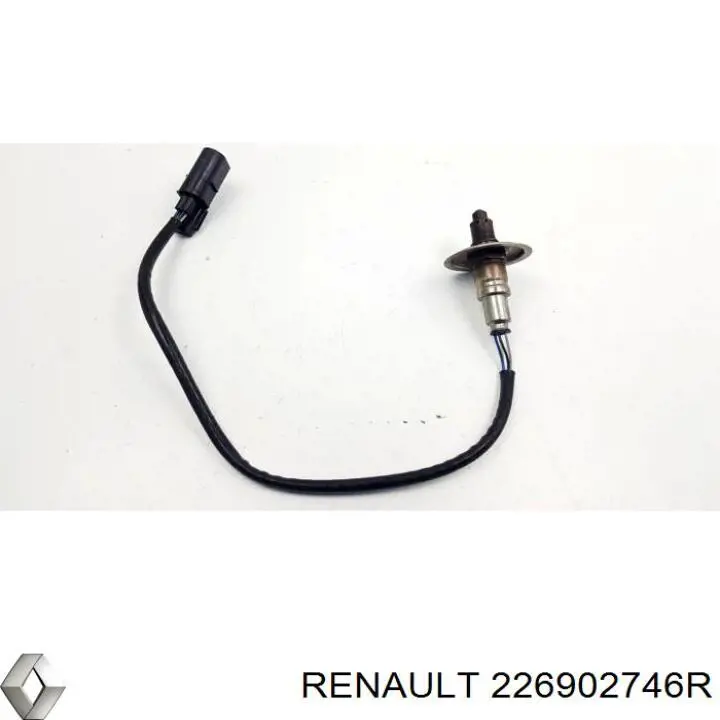  226902746R Renault (RVI)