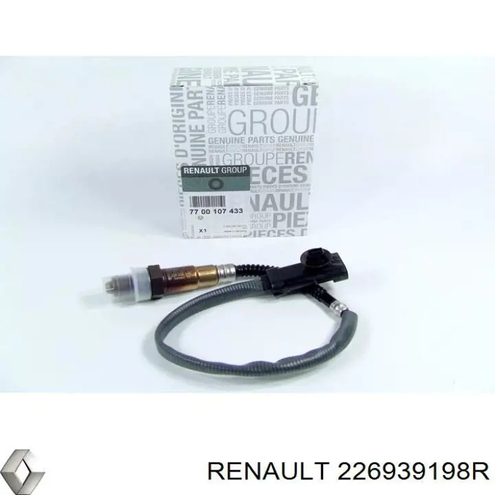  226939198R Renault (RVI)