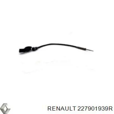 227901939R Renault (RVI) 