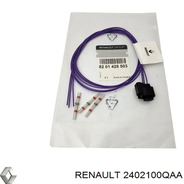 2402100QAA Renault (RVI) 