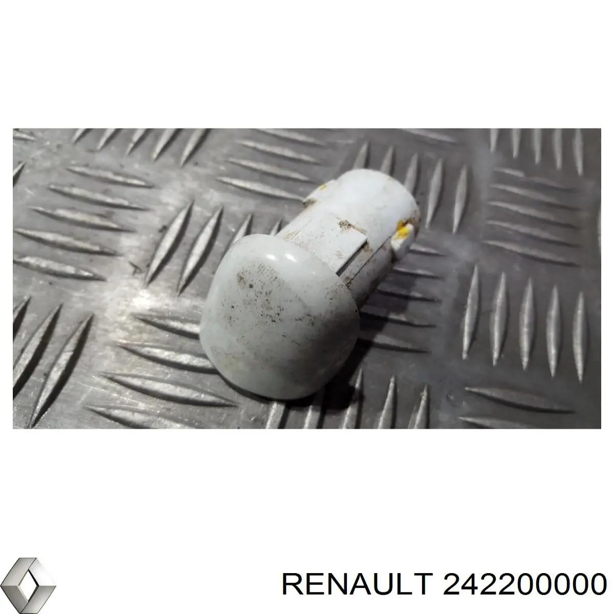  242200000 Renault (RVI)