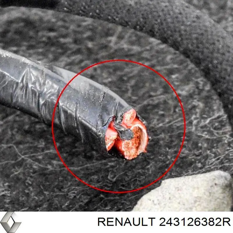 Купити 243126382R Renault (RVI) 