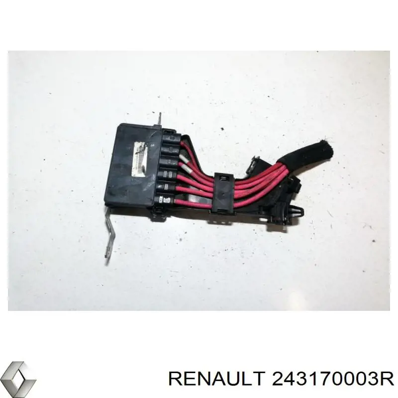  243170003R Renault (RVI)