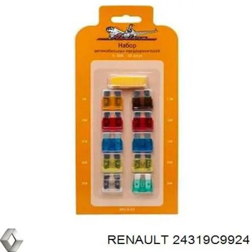 24319C9924 Renault (RVI) 
