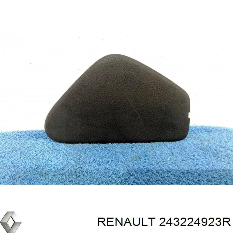 243224923R Renault (RVI) 