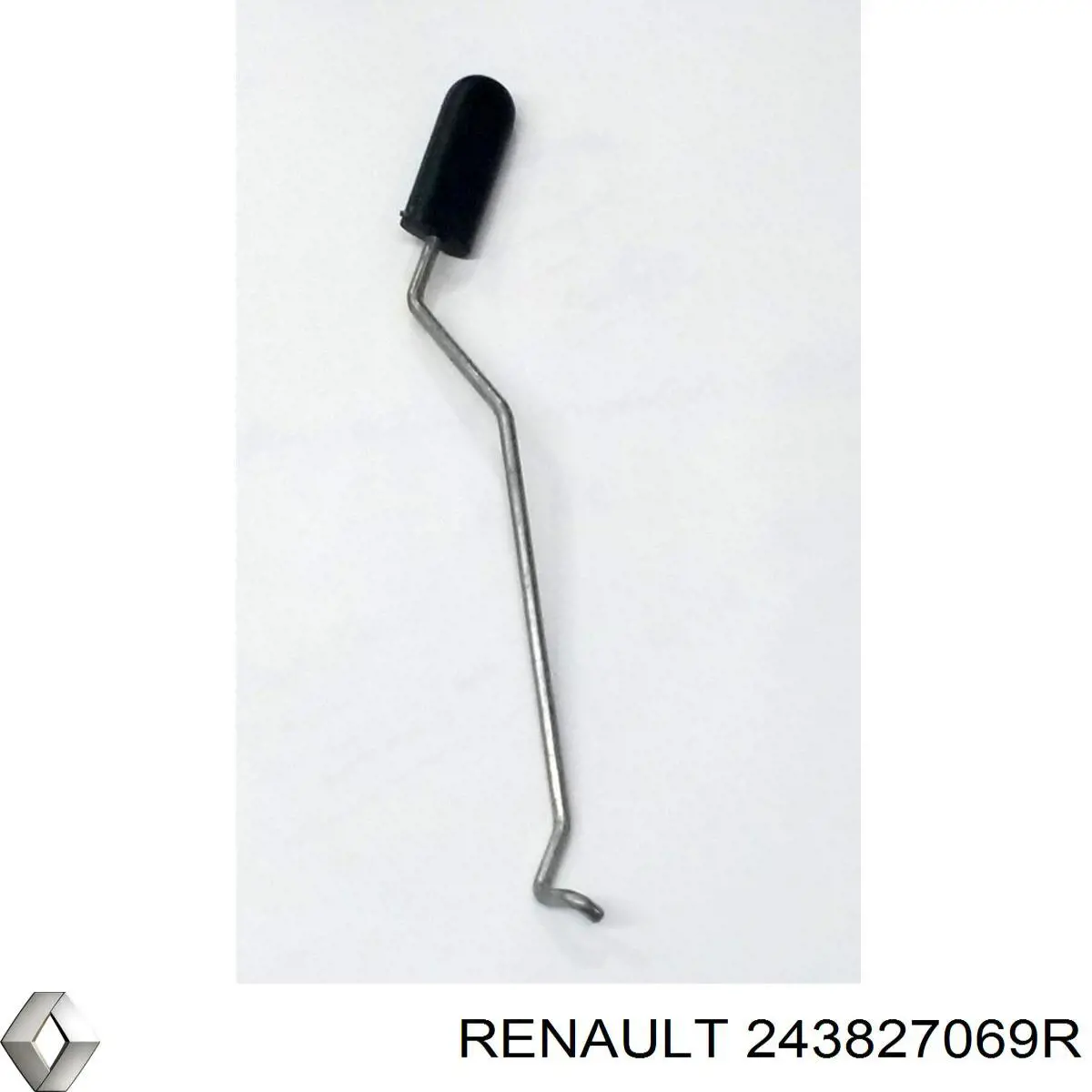 243827069R Renault (RVI) 