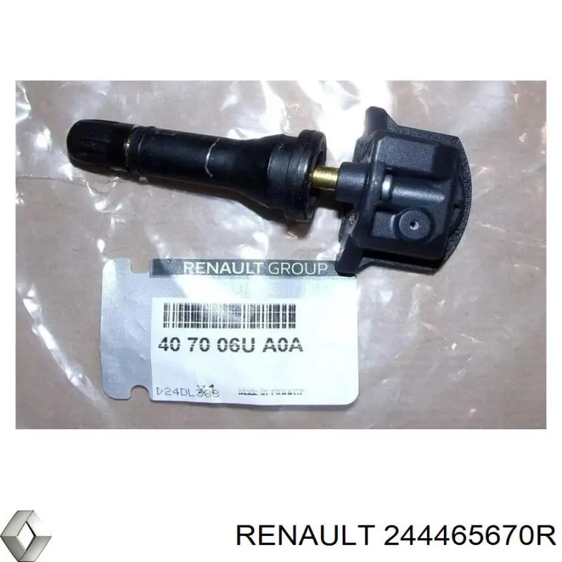 244465670R Renault (RVI) 
