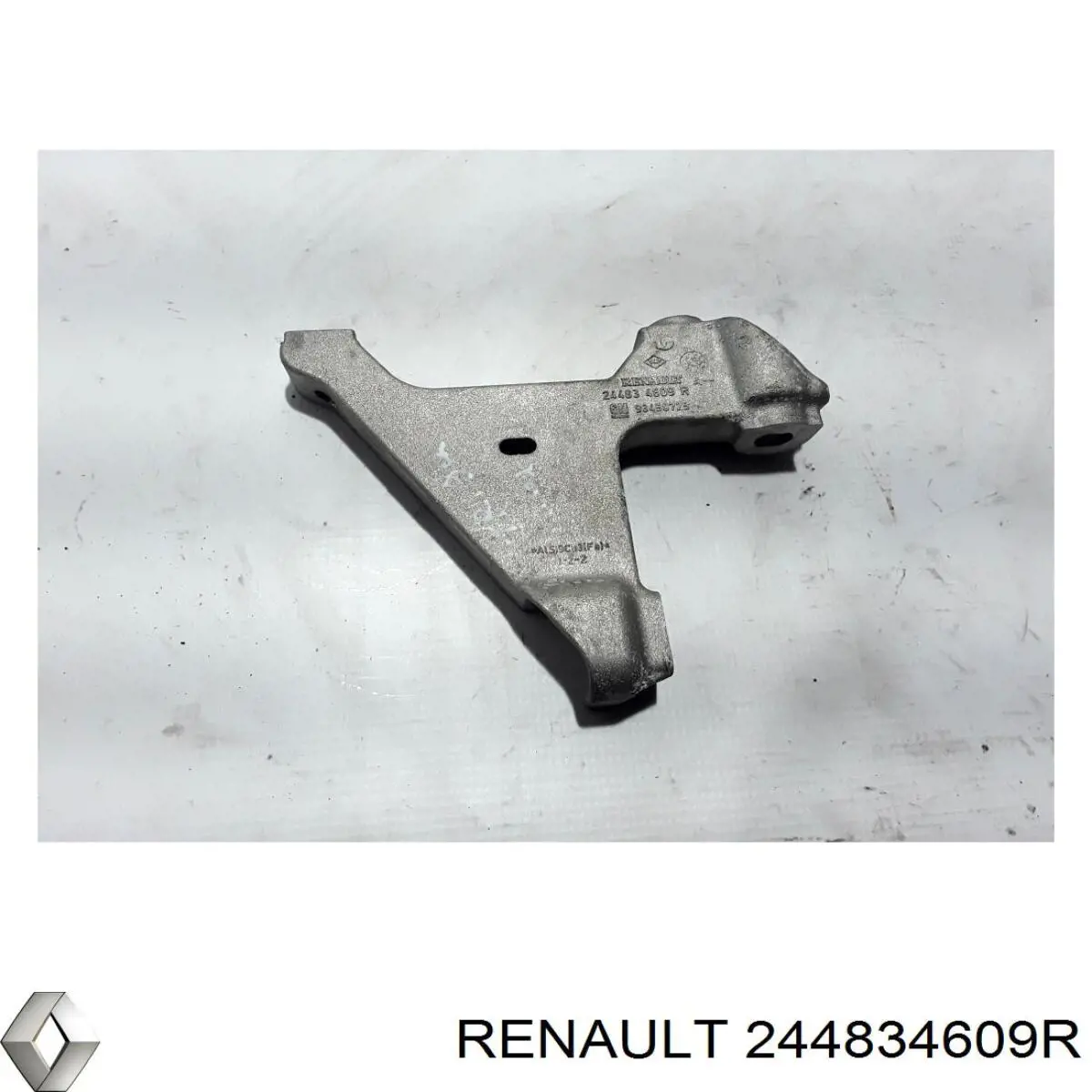 244834609R Renault (RVI) 