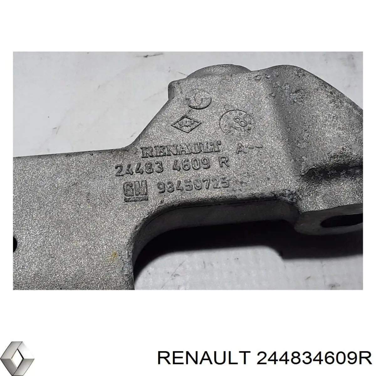 Купити 244834609R Renault (RVI) 