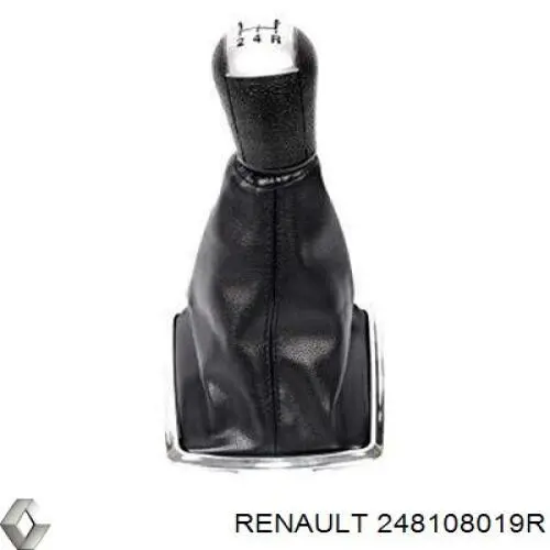 Приладова дошка-щиток приладів 248108019R Renault (RVI)