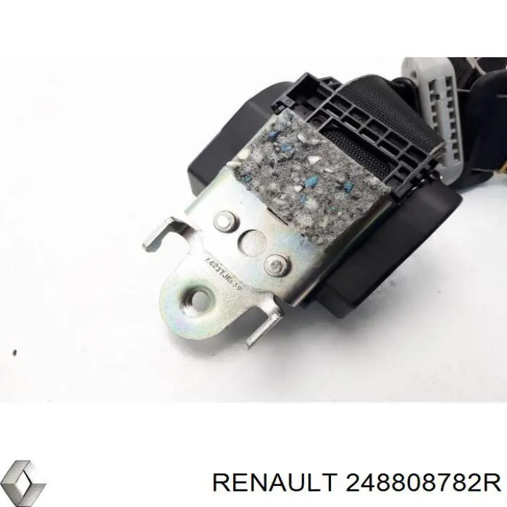  248808782R Renault (RVI)