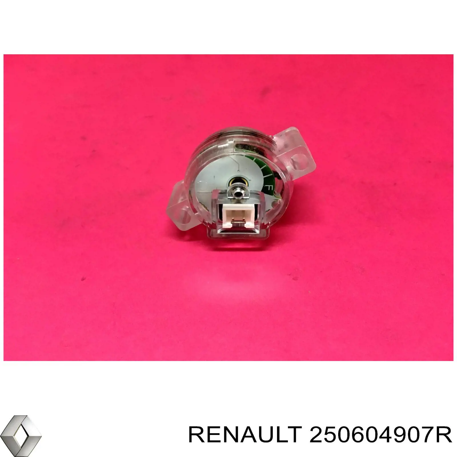 250604907R Renault (RVI) 