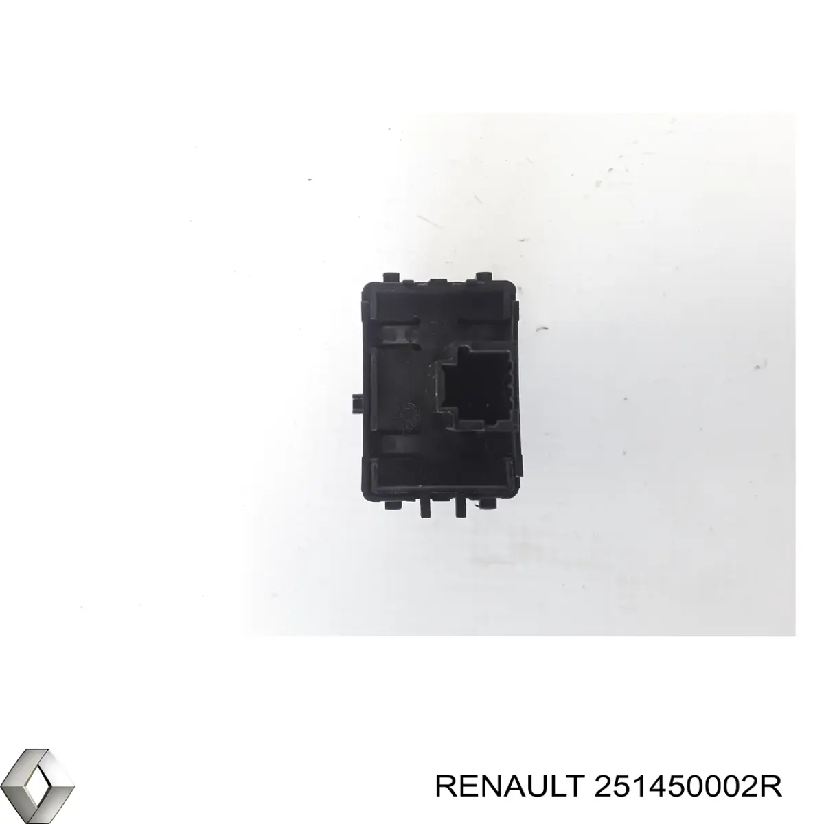 251450002R Renault (RVI) 
