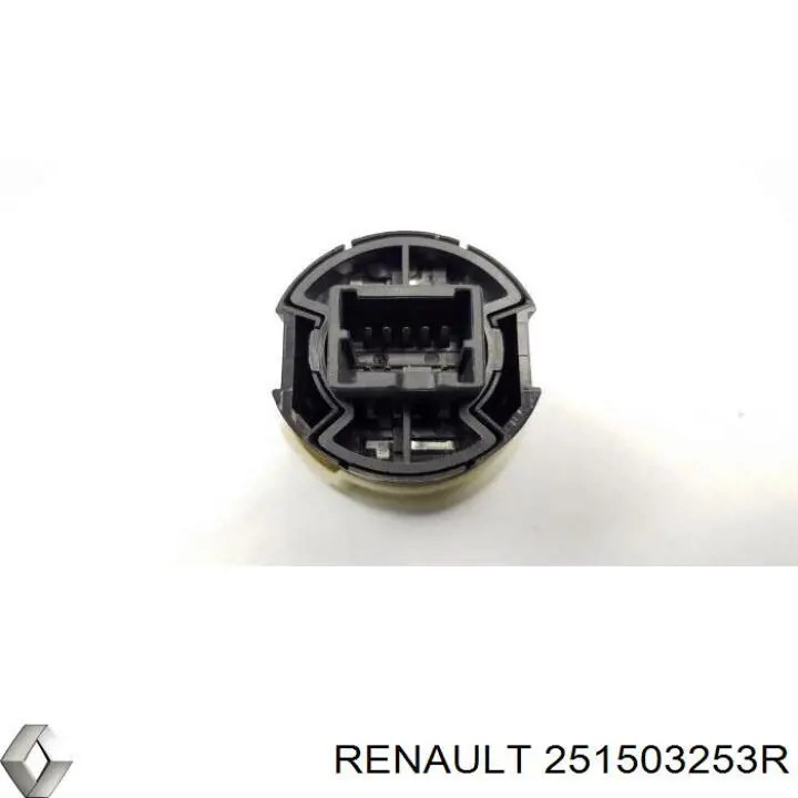  251503253R Renault (RVI)