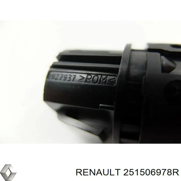  251506978R Renault (RVI)