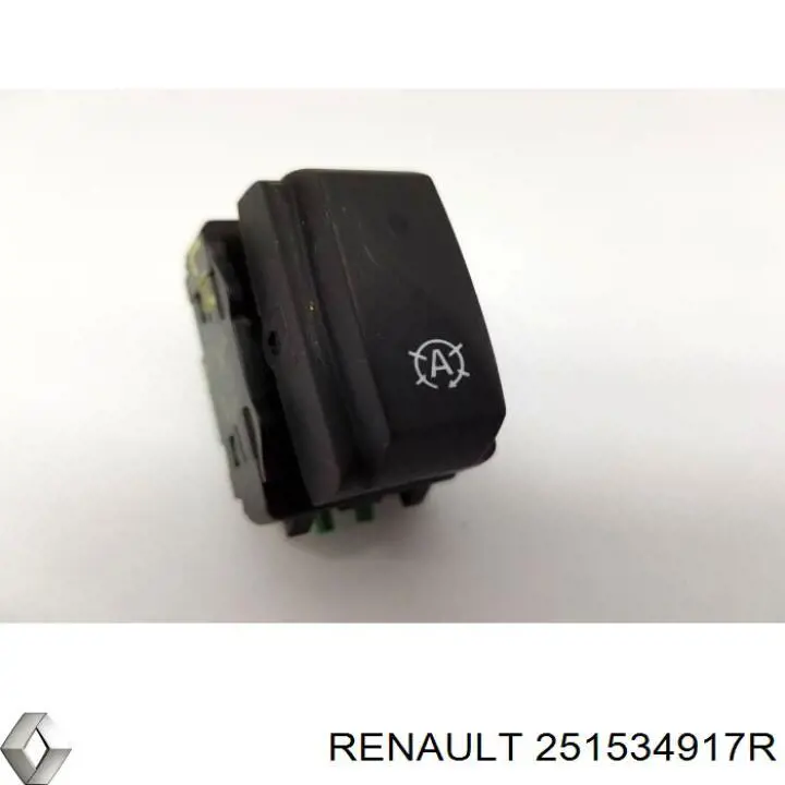 251534917R Renault (RVI) 