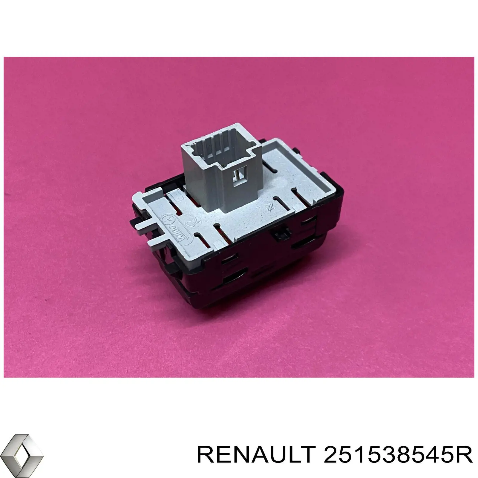251538545R Renault (RVI) 