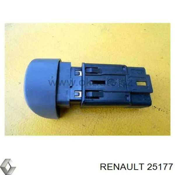  25177 Renault (RVI)