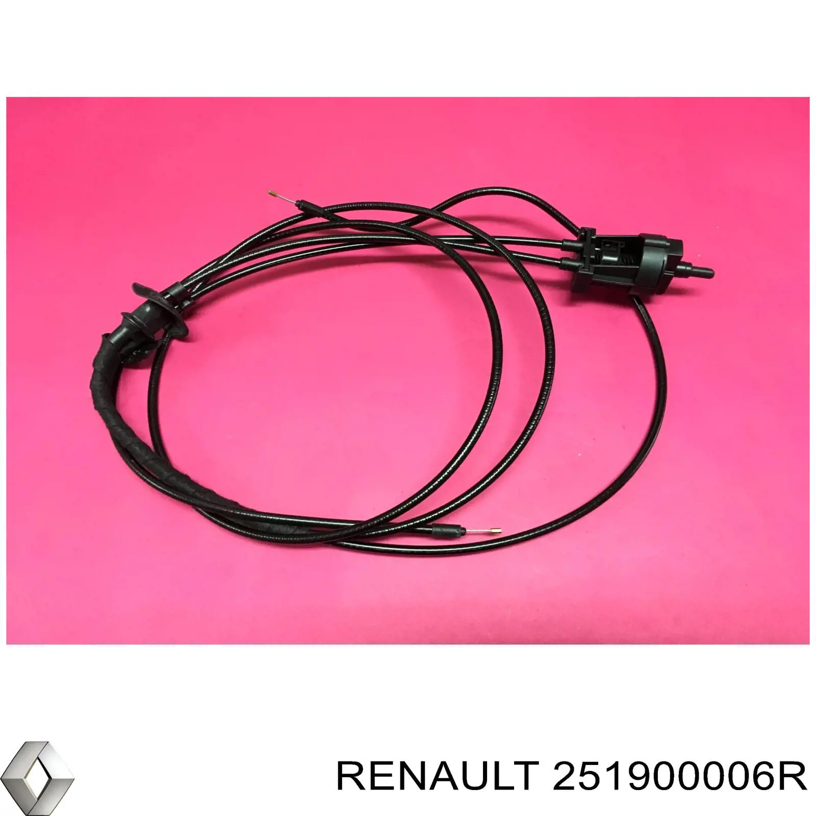 251900006R Renault (RVI) 