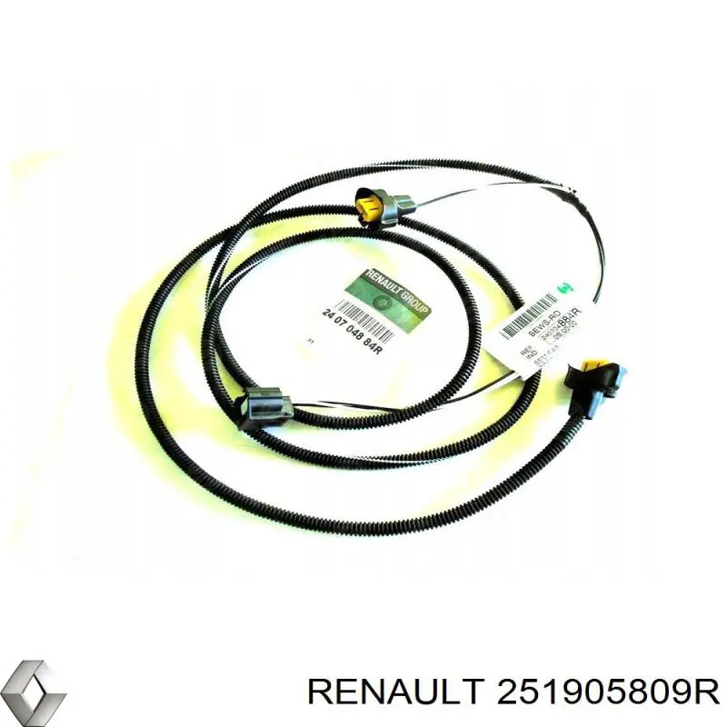  251905809R Renault (RVI)