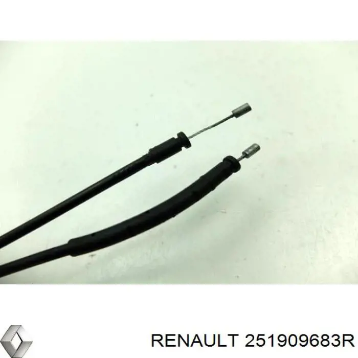 Купити 251909683R Renault (RVI) 