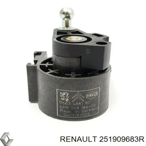  251909683R Renault (RVI)