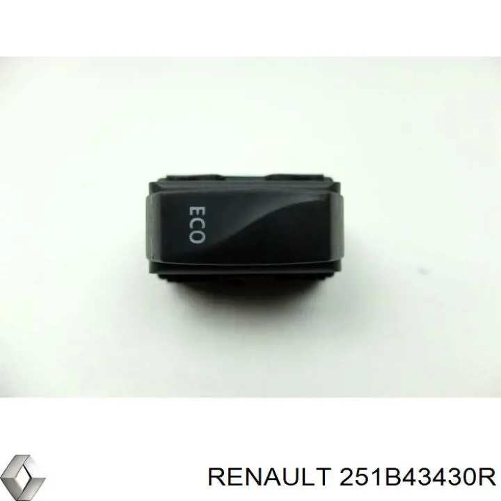 Купити 251B43430R Renault (RVI) 