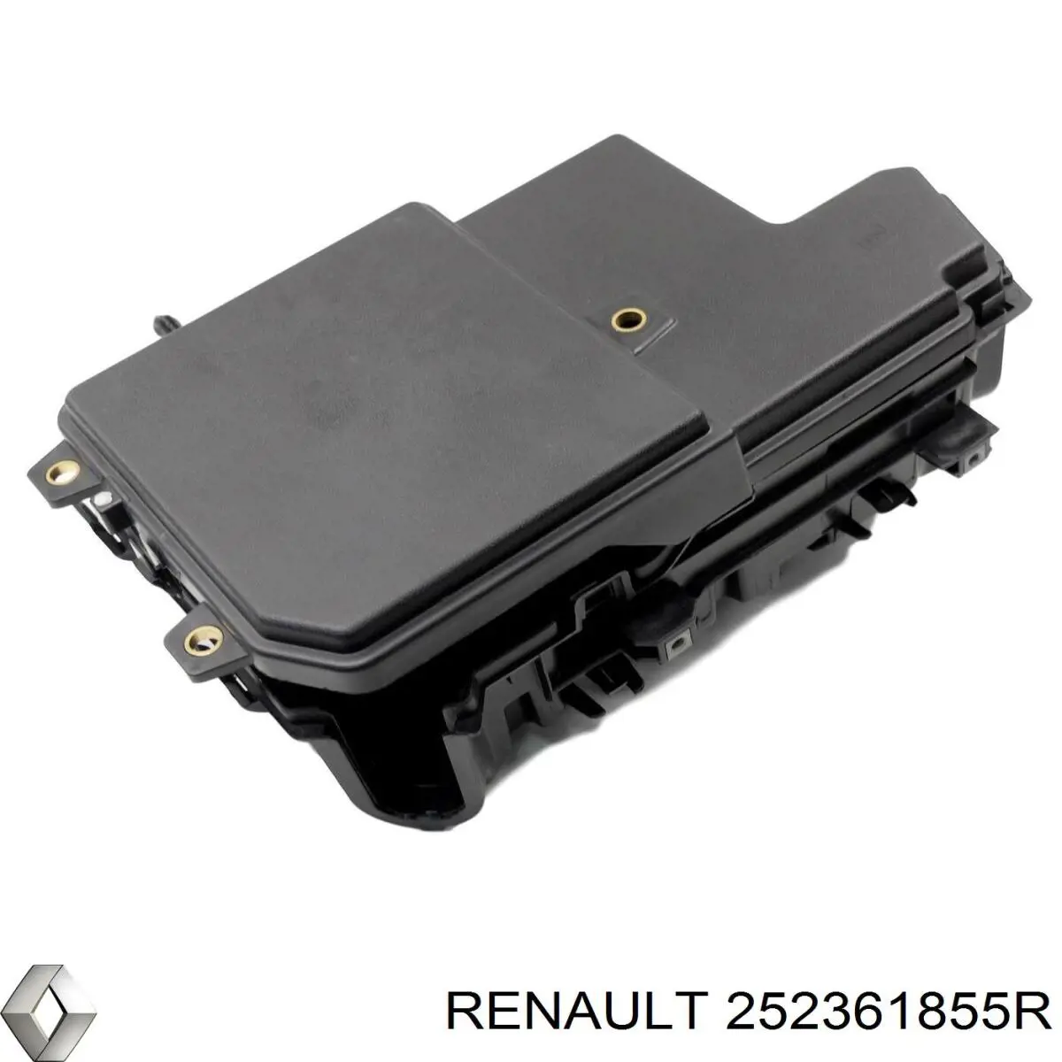Купити 252361855R Renault (RVI) 