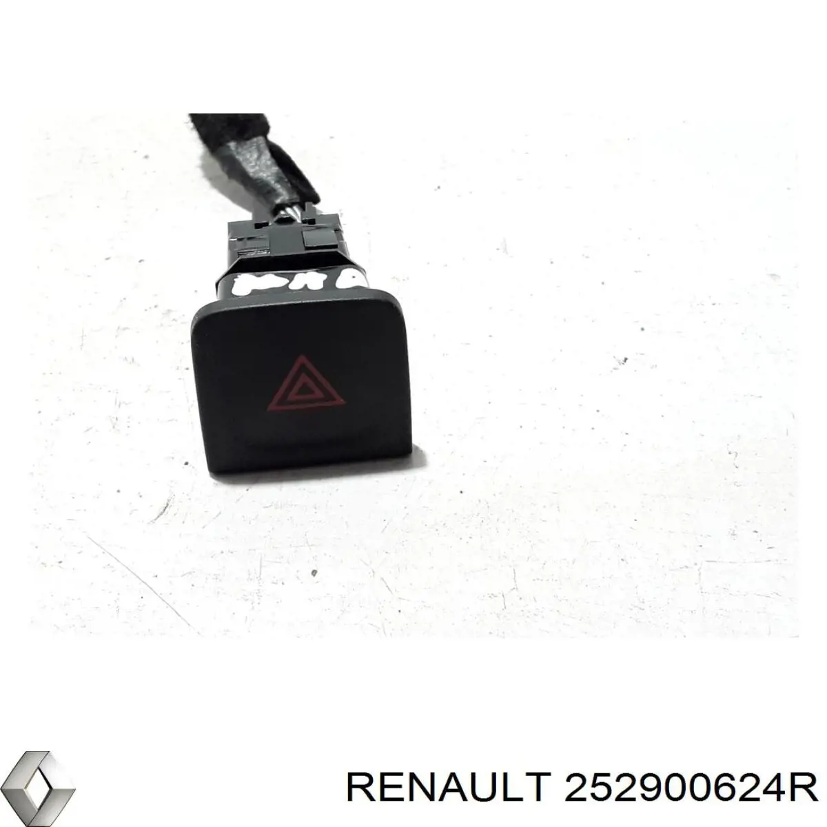  252900624R Renault (RVI)